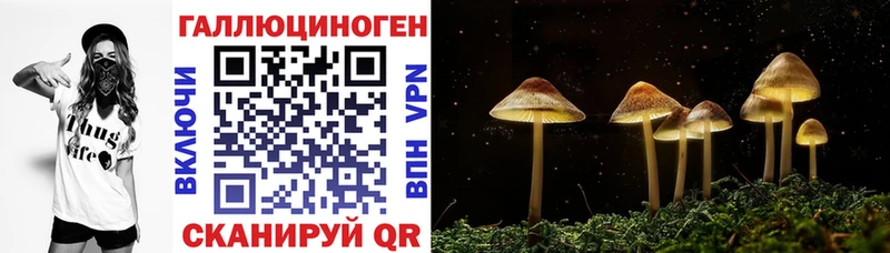 Псилоцибиновые грибы прущие грибы блэк спрут tor Красный Холм купить наркоту